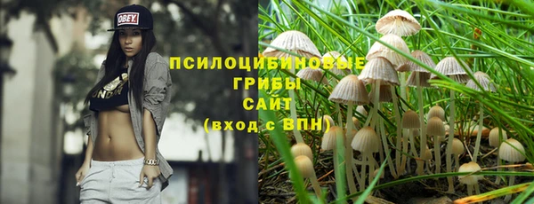 спиды Киров